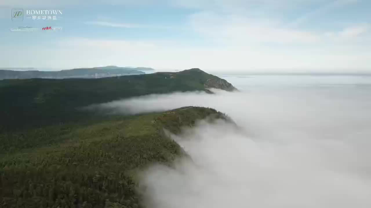 介绍